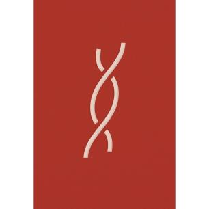 Ο ΑΝΗΦΟΡΟΣ (ΣΚΛΗΡΌΔΕΤΟ)
