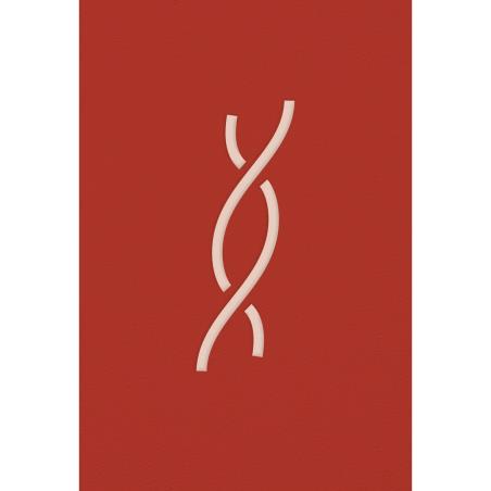 Ο ΑΝΗΦΟΡΟΣ (ΣΚΛΗΡΌΔΕΤΟ)