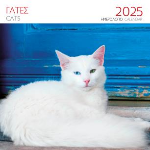 ΗΜΕΡΟΛΟΓΙΟ 2025 ( ΤΟΙΧΟΥ) : ΓΑΤΕΣ ΑΣΠΡΗ