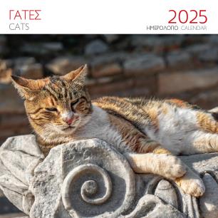 ΗΜΕΡΟΛΟΓΙΟ 2025 ( ΤΟΙΧΟΥ) : ΓΑΤΕΣ ΚΑΦΕ - εξωφυλλο