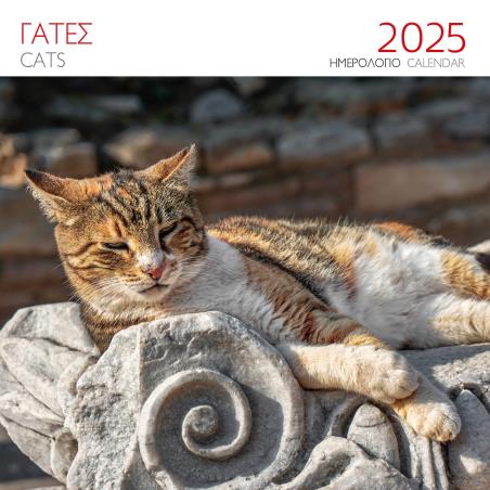 ΗΜΕΡΟΛΟΓΙΟ 2025 ( ΤΟΙΧΟΥ) : ΓΑΤΕΣ ΚΑΦΕ - εξωφυλλο
