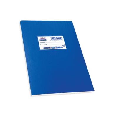 SKAG ΤΕΤΡ.(ΔΙΕΘΝΕΣ-SUPER)ΠΛΑΣΤ.ΜΠΛΕ 17X25 ΡΙΓΕ 100Φ 70ΓΡ
