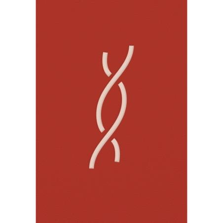 Ο ΑΝΗΦΟΡΟΣ (ΣΚΛΗΡΌΔΕΤΟ)